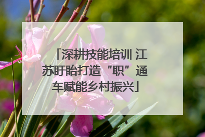 深耕技能培训 江苏盱眙打造“职”通车赋能乡村振兴
