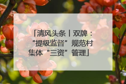 清风头条丨双牌：“提级监督”规范村集体“三资”管理