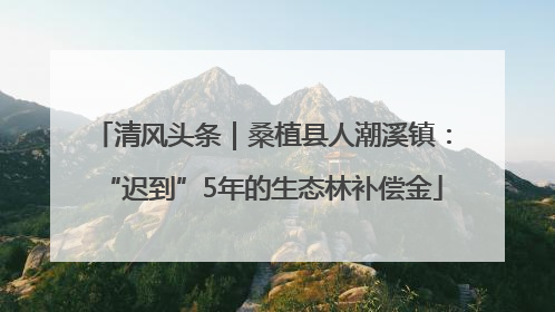 清风头条｜桑植县人潮溪镇：“迟到”5年的生态林补偿金