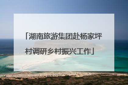 湖南旅游集团赴杨家坪村调研乡村振兴工作