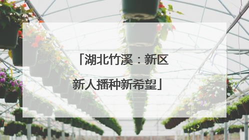 湖北竹溪：新区新人播种新希望