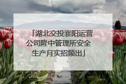 湖北交投襄阳运营公司隆中管理所安全生产月实招频出