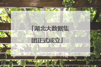 湖北大数据集团正式成立