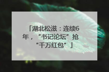 湖北松滋：连续6年，“书记论坛”抢“千万红包”