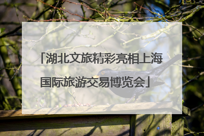 湖北文旅精彩亮相上海国际旅游交易博览会