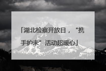 湖北检察开放日，“携手护未”活动超暖心