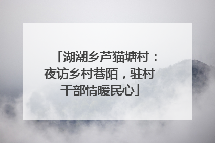 湖潮乡芦猫塘村：夜访乡村巷陌，驻村干部情暖民心