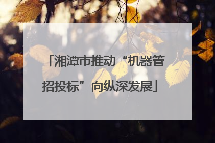 湘潭市推动“机器管招投标”向纵深发展