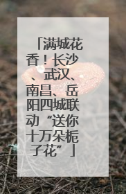 满城花香！长沙、武汉、南昌、岳阳四城联动“送你十万朵栀子花”