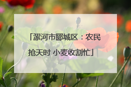漯河市郾城区：农民抢天时 小麦收割忙