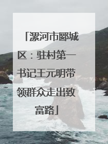 漯河市郾城区：驻村第一书记王元明带领群众走出致富路