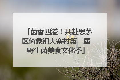 菌香四溢！共赴思茅区倚象镇大寨村第二届野生菌美食文化季