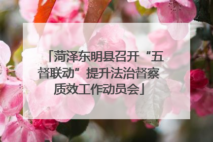菏泽东明县召开“五督联动”提升法治督察质效工作动员会