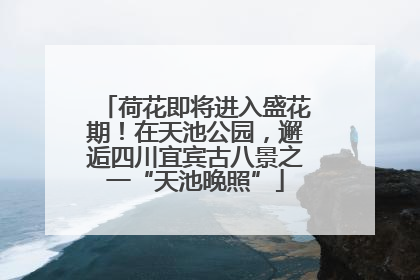 荷花即将进入盛花期！在天池公园，邂逅四川宜宾古八景之一“天池晚照”