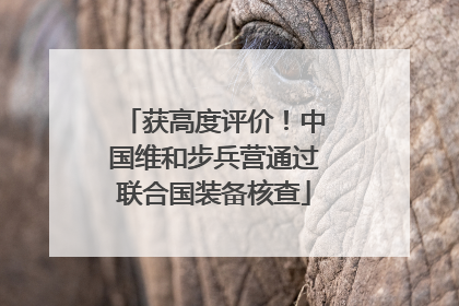 获高度评价！中国维和步兵营通过联合国装备核查
