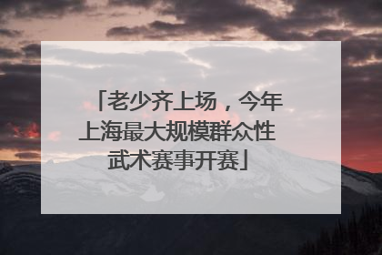 老少齐上场，今年上海最大规模群众性武术赛事开赛