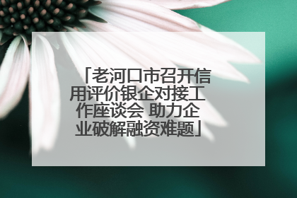 老河口市召开信用评价银企对接工作座谈会 助力企业破解融资难题