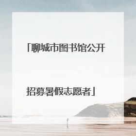 聊城市图书馆公开招募暑假志愿者