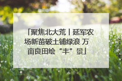 聚焦北大荒丨延军农场新苗破土铺绿浪 万亩良田绘“丰”景