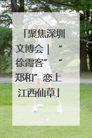 聚焦深圳文博会｜“徐霞客”“郑和”恋上江西仙草
