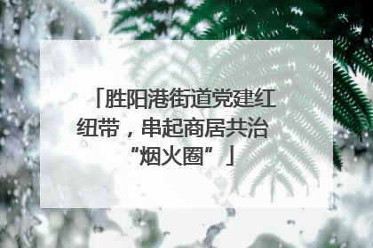胜阳港街道党建红纽带，串起商居共治 “烟火圈”