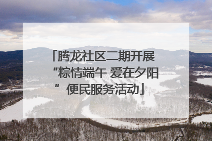 腾龙社区二期开展 “粽情端午 爱在夕阳”便民服务活动