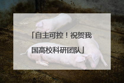 自主可控！祝贺我国高校科研团队