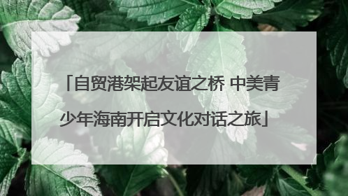 自贸港架起友谊之桥 中美青少年海南开启文化对话之旅