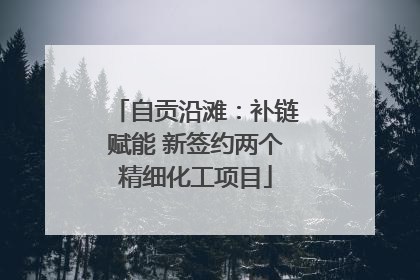 自贡沿滩：补链赋能 新签约两个精细化工项目