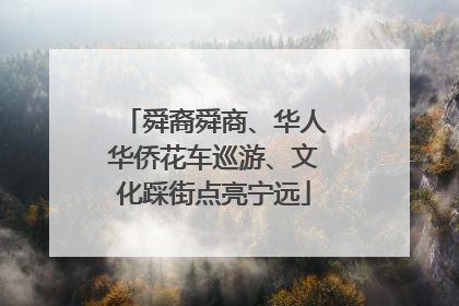 舜裔舜商、华人华侨花车巡游、文化踩街点亮宁远