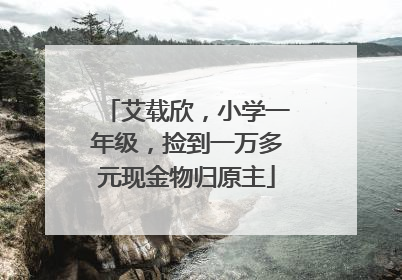 艾载欣，小学一年级，捡到一万多元现金物归原主