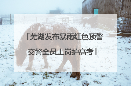 芜湖发布暴雨红色预警 交警全员上岗护高考
