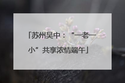 苏州吴中：“一老一小”共享浓情端午