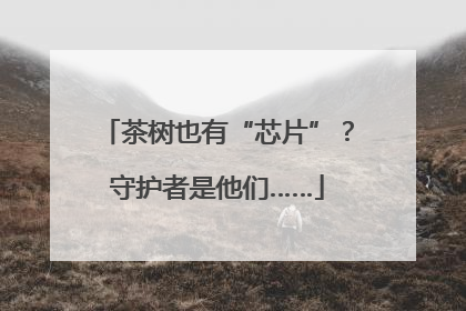 茶树也有“芯片”？守护者是他们……