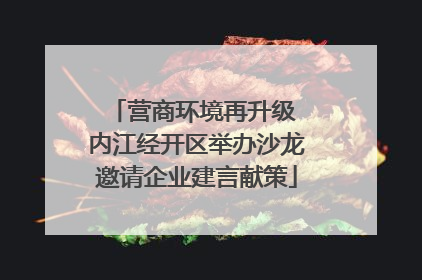 营商环境再升级 内江经开区举办沙龙邀请企业建言献策