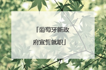 葡萄牙新政府宣誓就职