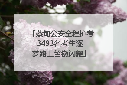 蔡甸公安全程护考 3493名考生逐梦路上警徽闪耀