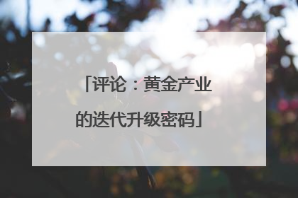 评论：黄金产业的迭代升级密码