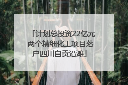 计划总投资22亿元 两个精细化工项目落户四川自贡沿滩