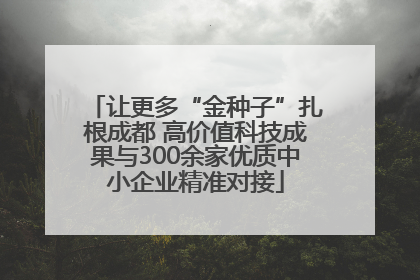 让更多“金种子”扎根成都 高价值科技成果与300余家优质中小企业精准对接