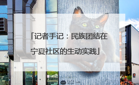 记者手记：民族团结在宁夏社区的生动实践