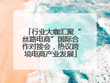 行业大咖汇聚“丝路电商”国际合作对接会，热议跨境电商产业发展