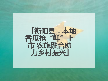 衡阳县：本地香瓜抢“鲜”上市 农旅融合助力乡村振兴