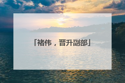 褚伟，晋升副部