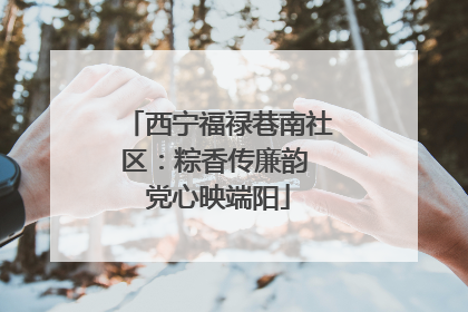 西宁福禄巷南社区：粽香传廉韵 党心映端阳