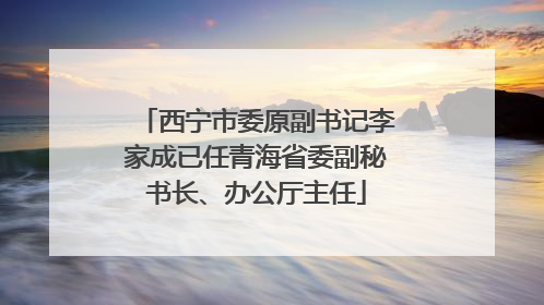 西宁市委原副书记李家成已任青海省委副秘书长、办公厅主任