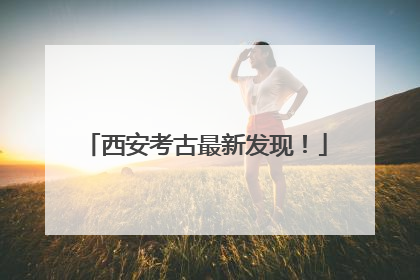 西安考古最新发现！