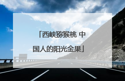 西峡猕猴桃 中国人的阳光金果
