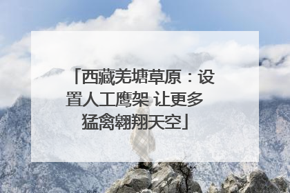 西藏羌塘草原：设置人工鹰架 让更多猛禽翱翔天空