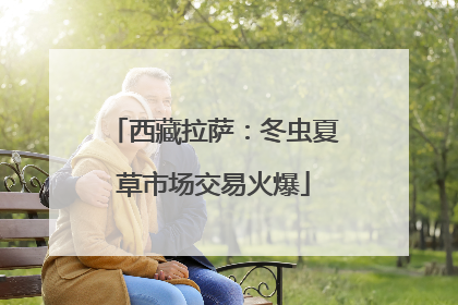 西藏拉萨：冬虫夏草市场交易火爆